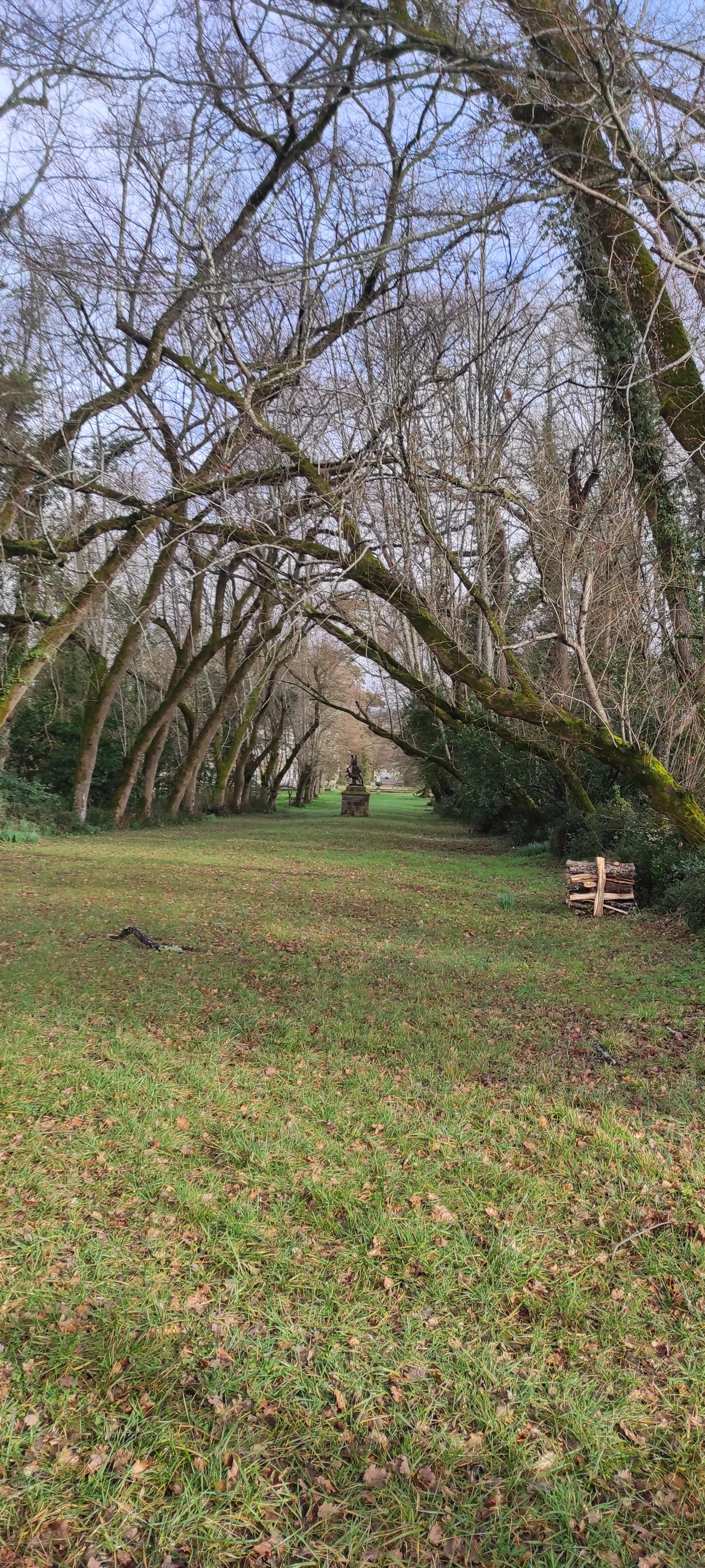 allee chateau le grand puch camarsac gironde