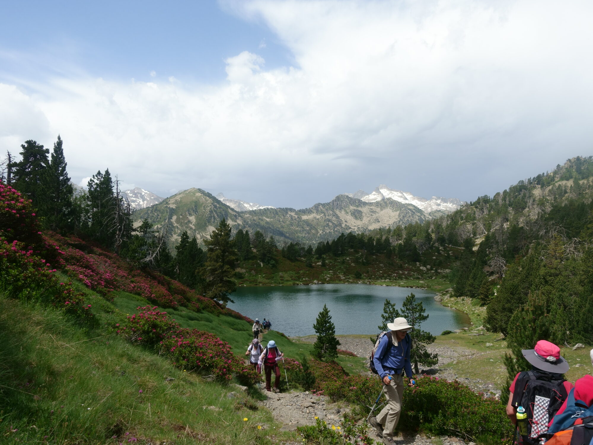 lac