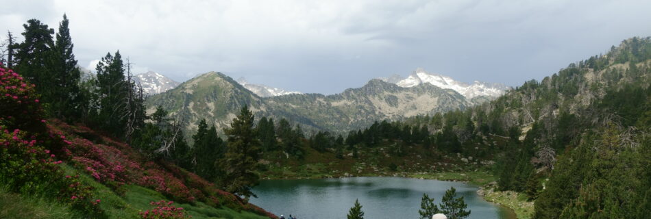 lac