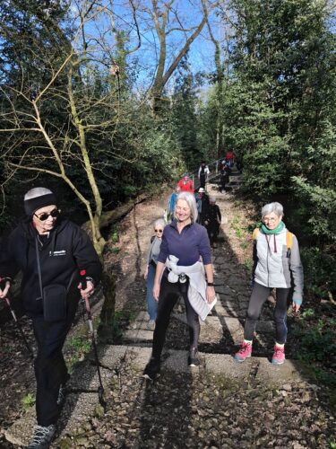 enfilade de marche pour rejoindre les balcons de Lormont