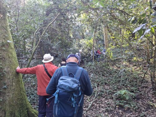 Montée vers le parc de l'Ermitage
